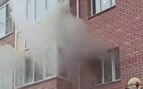 В Кирове на улице Зянкина загорелась квартира: пострадали животные