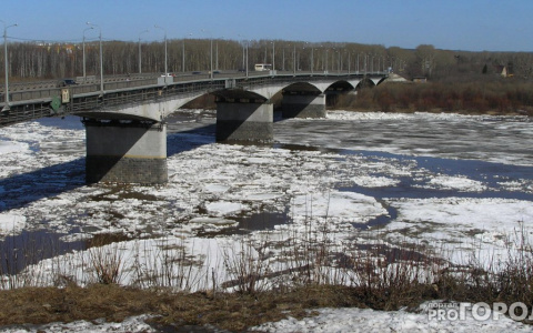 На трех реках нет льда: специалисты рассказали об ожидаемом половодье