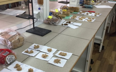 Эксперт проверила хлеб шести производителей в Кирове