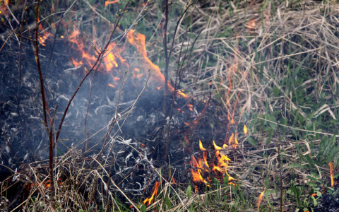 Пожар на 1000 квадратных метров: в Кировской области впервые в сезоне загорелась трава