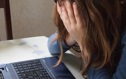 В Яндексе рассказали, как работает онлайн-школа для детей в Кировской области