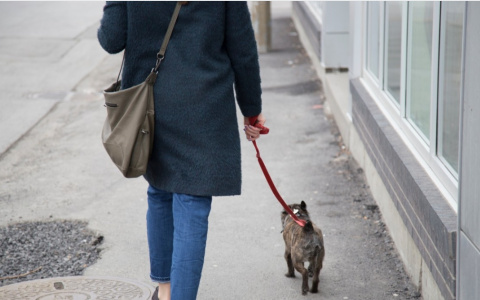 Список: что запрещено и разрешено делать во время режима самоизоляции в Кировской области