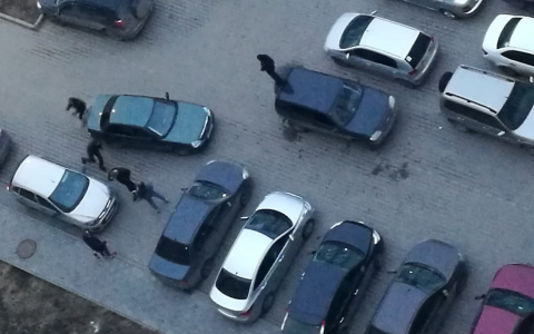 В Чистых прудах неизвестные станцевали на припаркованных машинах