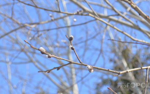 Солнце, дождь и плюсовая температура: погода на выходные в Кирове