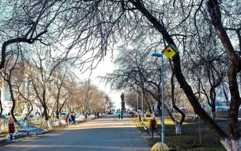 Погода в Кирове: на новой рабочей неделе будет тепло и пасмурно