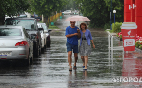 Народный синоптик опубликовал предварительный прогноз погоды на лето в Кирове