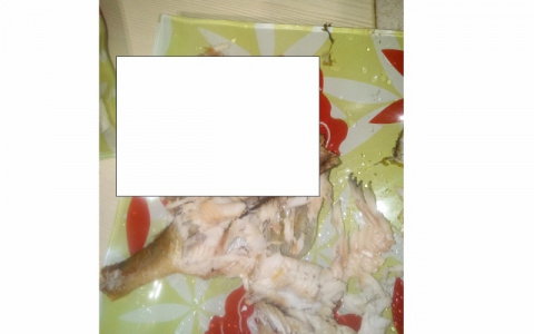 «Купили рыбу, а внутри кишат красные черви»: кировчане рассказали о неудачной покупке