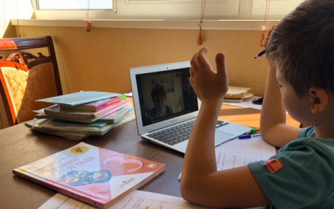 В Кировской области начались видеоконсультации ведущих педагогов по подготовке к ЕГЭ