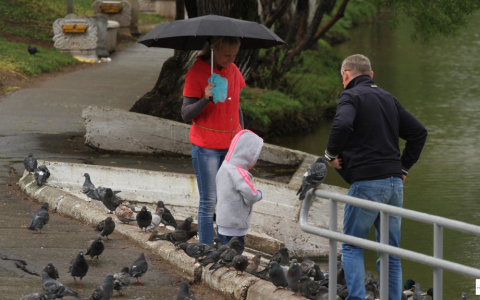 Погода в Кирове: какой будет последняя неделя апреля