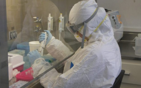 Как обнаружить коронавирус?