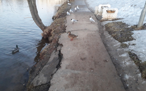 Разрушенные лестницы и обвалившиеся дорожки: горожане жалуются на состояние парка имени Кирова