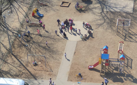 Индекс самоизоляции в Кирове упал до рекордно низкой отметки