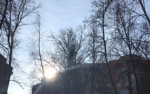 Жителей Кировской области предупреждают об усилении ветра