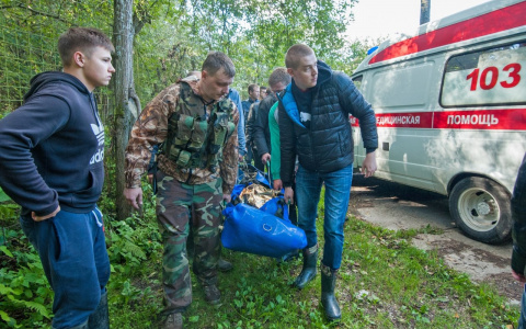 В Кировской области в лесу нашли пропавшего инвалида психоневрологического интерната