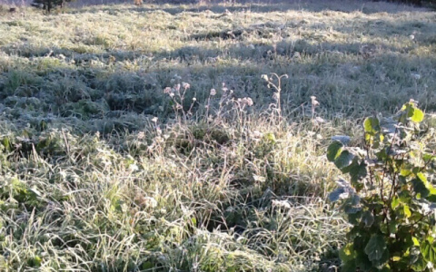 Народный синоптик рассказал, когда в Киров придет серьезное похолодание