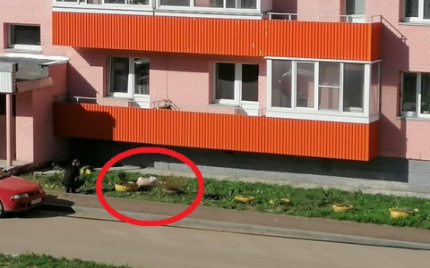 В Кирове с балкона высотки выпал мужчина