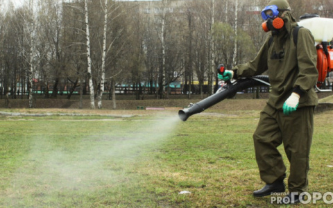 В Кировской области начали санитарную обработку остановок, парков и детских площадок