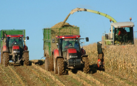 Россельхозбанк назвал топ-10 отраслей АПК для инвестиций во время пандемии