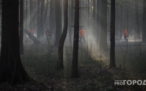 Что обсуждают в Кирове: пропавший ребенок и число подключенных к ИВЛ пациентов с COVID-19