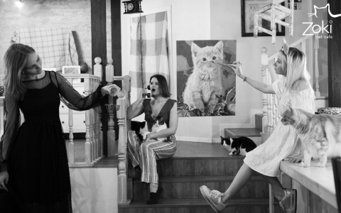 Киров - город красивых людей: номинация "Горжусь командой"