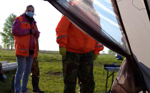 Что обсуждают в Кирове: поиски 4-летнего мальчика и прогноз погоды на июнь