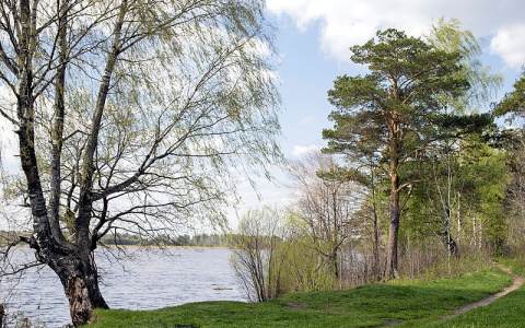 100 миллионов рублей выделят на здания в правительственной резиденции на Черном озере