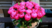 На похороны и день рождения: для чего кировчане скупают пионы в Питере?