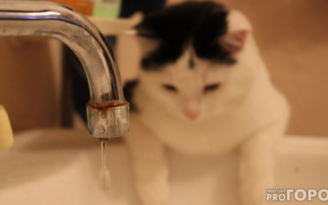 Что обсуждают в Кирове: отключение горячей воды и прогноз погоды на неделю