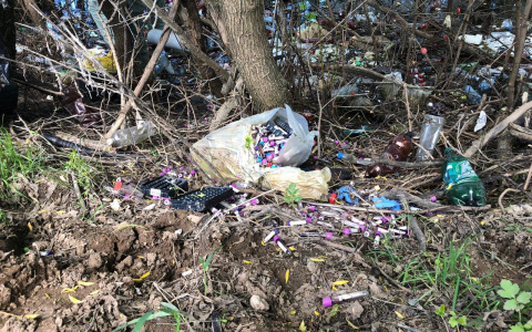 Замглаве администрации Кирова внесли представление за свалку медотходов у Нового моста