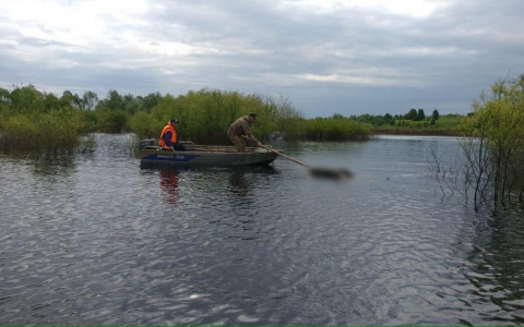 Что обсуждают в Кирове: нашли тело пропавшего парня и рекордное число заболевших COVID-19