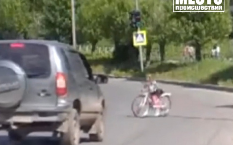 В Кирове девочка на велосипеде выехала на дорогу под колеса машины