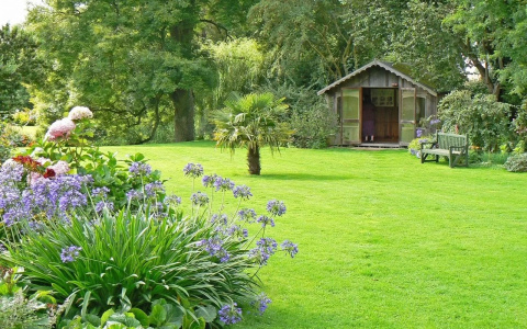 "Подсмотрел у Диброва и сделал лучше": как кировчанину оформить дачу не хуже чем у звезд