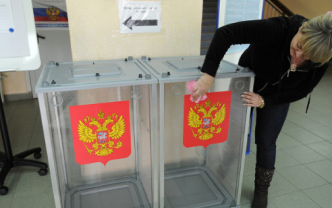 Как и где можно проголосовать по поправкам в Конституцию?