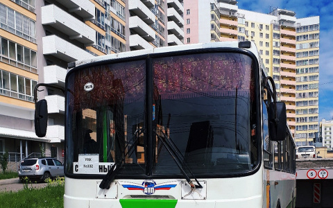 В автобусе, на капоте машины и в саду: как проходит голосование в Кирове