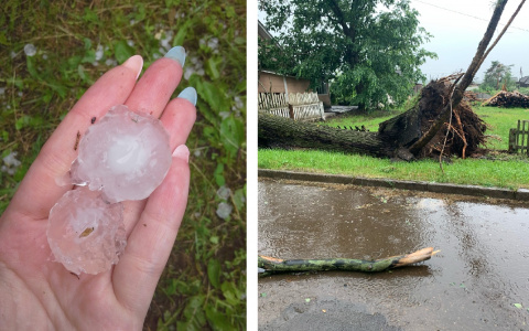 Побитый урожай, вырванные с корнями деревья и мятые крыши машин: в Кировской области прошел градовой шторм
