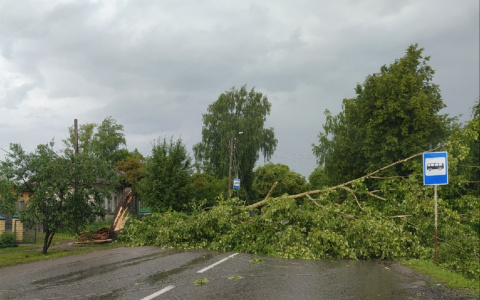Что обсуждают в Кирове: последствия урагана и велопутешествие кировского школьника