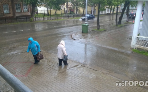 Переменная облачность и отсутствие осадков: известна погода на 1 июля в Кирове