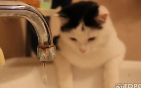 С понедельника тысячи кировчан останутся без горячей воды: список адресов