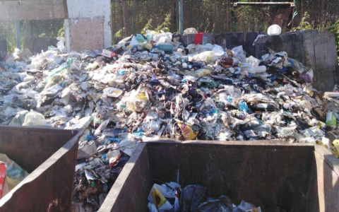 Шприцы и перчатки лежат годами: жители Демьяново просят прокуратуру решить вопрос стихийной свалки медицинских отходов