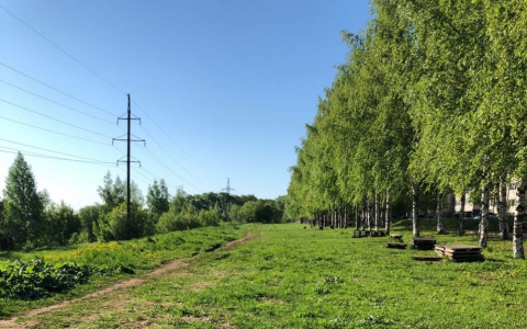 Что обсуждают в Кирове: самый жаркий день и COVID-19 у ребенка в лагере