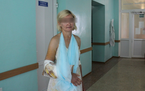 Вынесен приговор владельцу сафари-парка, где кировчанку укусил лев