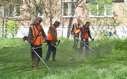 «ЭнергосбыТ Плюс» ищет лучшую управляющую компанию