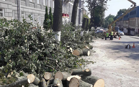 В мэрии рассказали, зачем срубили липы у здания Центральной гостиницы
