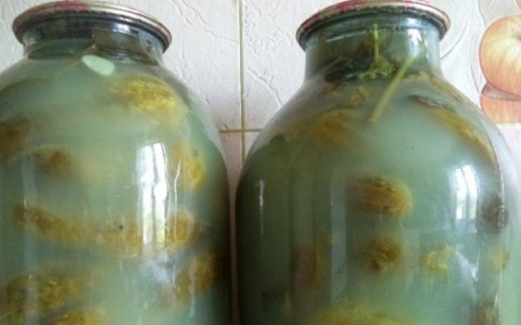 Горячий парафин и специальная лакировка: секреты от кировских хозяек, чтобы варенье не плесневело, а огурцы не взорвались