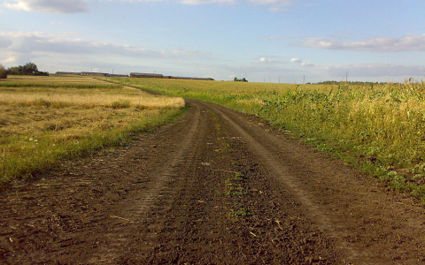 Жителям страны могут начать бесплатно раздавать "вятские гектары"