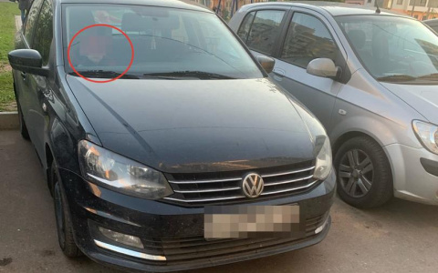 Что обсуждают в Кирове: закрытый в машине ребенок и мощный циклон