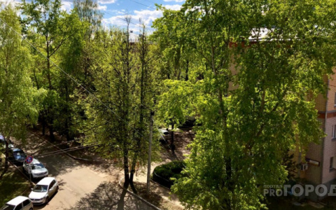 Народный синоптик рассказал, когда в Кировскую область вернется тепло