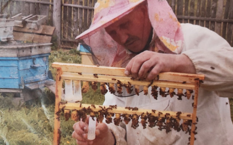 "Чтобы проверить мед, нужна прохладная вода": пчеловод о секретах пасеки
