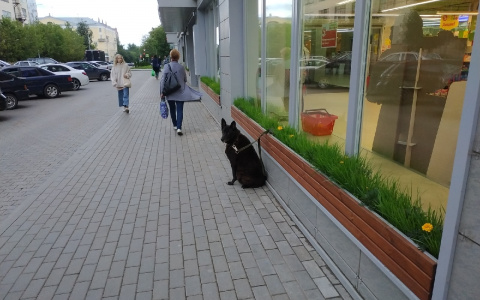 В выходные жителей Кирова ждет теплая погода: прогноз погоды