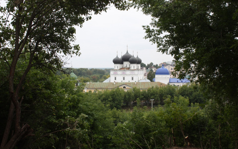 Тепло и переменная облачность: известно, какая погода ждет кировчан на рабочей неделе